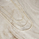Natural Pearl Choker Necklace (Gold 2.8-3mm)